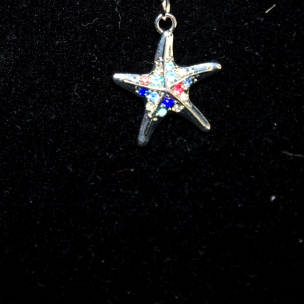 Starfish necklace of stainless steel and crystal handcrafted artisan.
